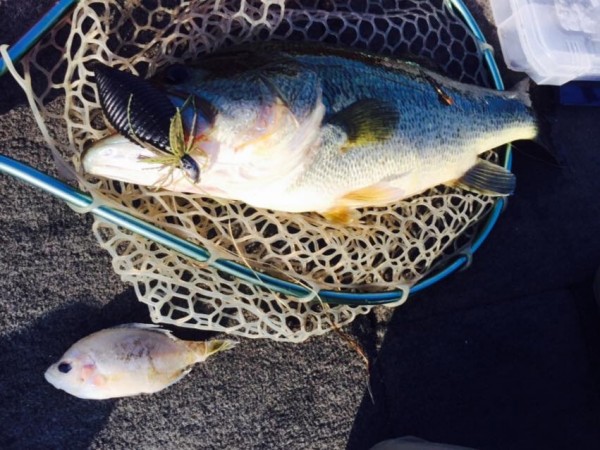 hideup 永野総一朗 ブログ写真 2015/07/18