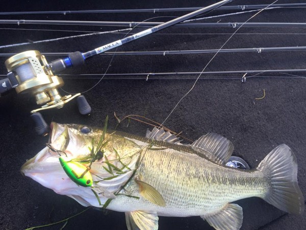 hideup 永野総一朗 ブログ写真 2016/01/11