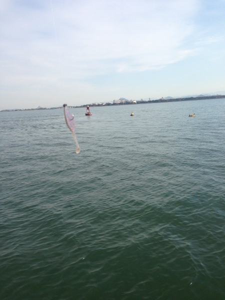 hideup 永野総一朗 ブログ写真 2013/11/27