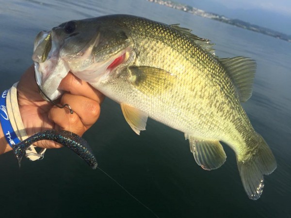 hideup 永野総一朗 ブログ写真 2016/09/03