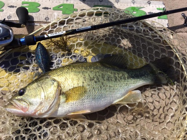 hideup 永野総一朗 ブログ写真 2017/08/14