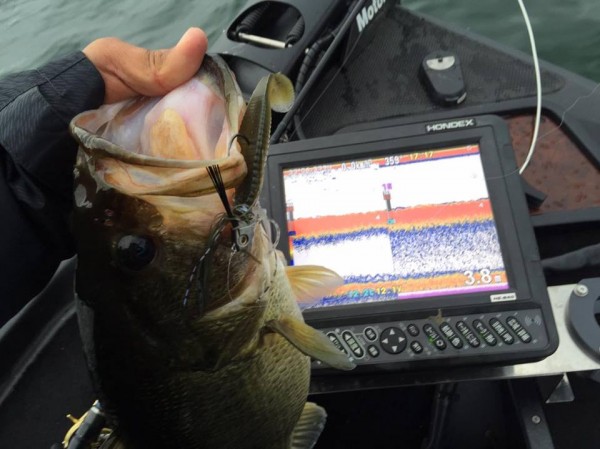 hideup 豌ｸ驥守ｷ丈ｸ譛� 繝悶Ο繧ｰ蜀咏悄 2016/04/04