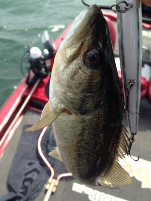 hideup 永野総一朗 ブログ写真 2015/04/24