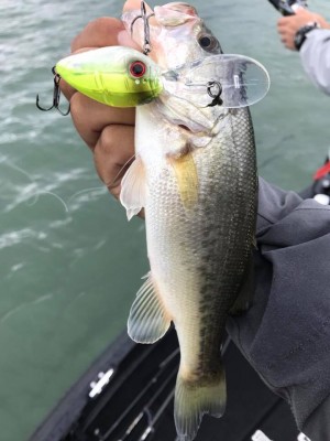 hideup 永野総一朗 ブログ写真 2017/10/29