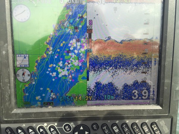 hideup 豌ｸ驥守ｷ丈ｸ譛� 繝悶Ο繧ｰ蜀咏悄 2016/01/22