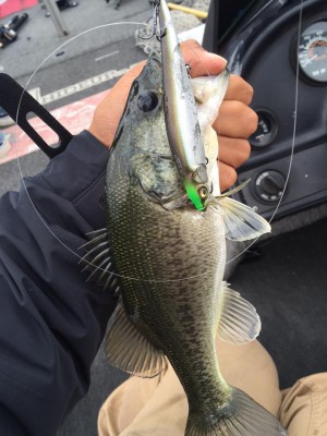 hideup 永野総一朗 ブログ写真 2015/10/12