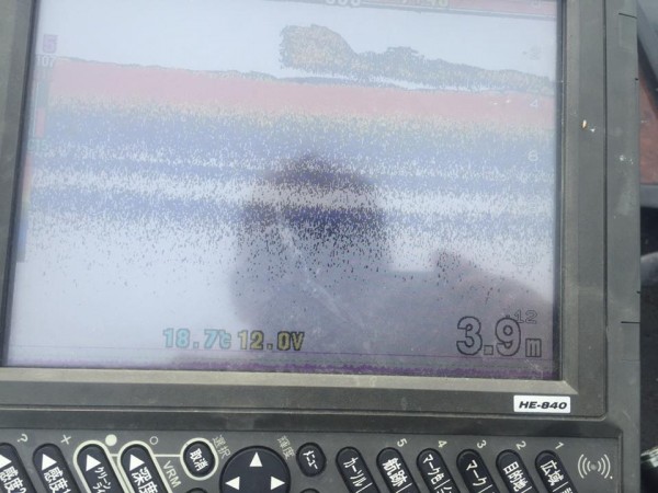 hideup 永野総一朗 ブログ写真 2017/05/16