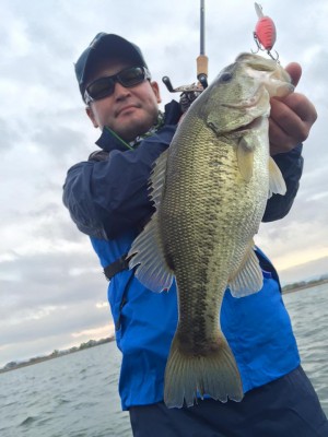 hideup 永野総一朗 ブログ写真 2016/04/14