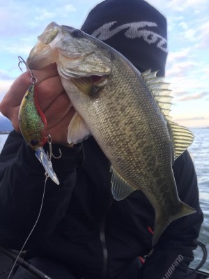 hideup 永野総一朗 ブログ写真 2016/12/15