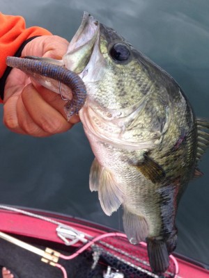 hideup 豌ｸ驥守ｷ丈ｸ譛� 繝悶Ο繧ｰ蜀咏悄 2015/06/10