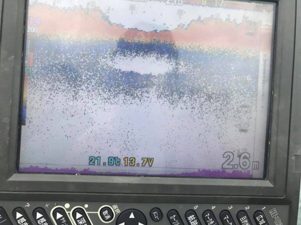 hideup 永野総一朗 ブログ写真 2017/06/11