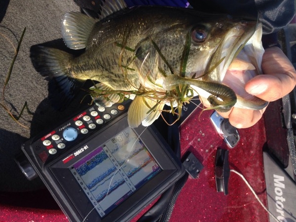 hideup 永野総一朗 ブログ写真 2014/05/08