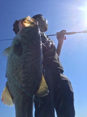 hideup 永野総一朗 ブログ写真 2017/05/18