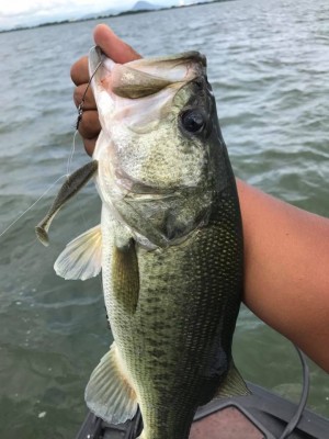 hideup 永野総一朗 ブログ写真 2017/08/05