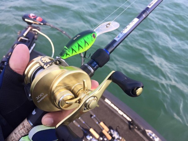 hideup 永野総一朗 ブログ写真 2016/02/26