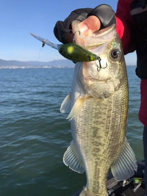 hideup 永野総一朗 ブログ写真 2017/11/13