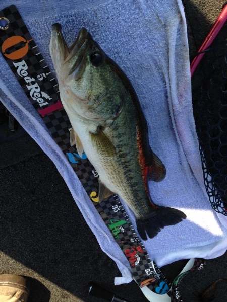 hideup 永野総一朗 ブログ写真 2014/07/01