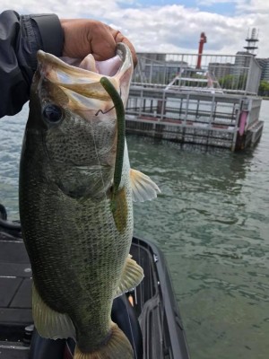 hideup 永野総一朗 ブログ写真 2017/06/13