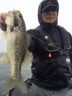 hideup 永野総一朗 ブログ写真 2016/04/07