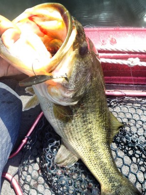 hideup 永野総一朗 ブログ写真 2015/05/11