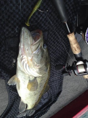 hideup 永野総一朗 ブログ写真 2015/05/05