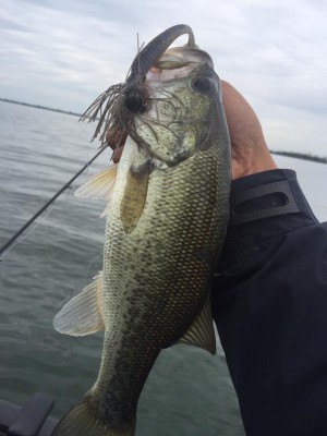 hideup 永野総一朗 ブログ写真 2016/10/11