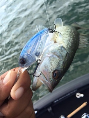 hideup 永野総一朗 ブログ写真 2016/08/28