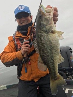 hideup 永野総一朗 ブログ写真 2017/11/18