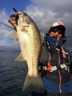 hideup 豌ｸ驥守ｷ丈ｸ譛� 繝悶Ο繧ｰ蜀咏悄 2015/12/25