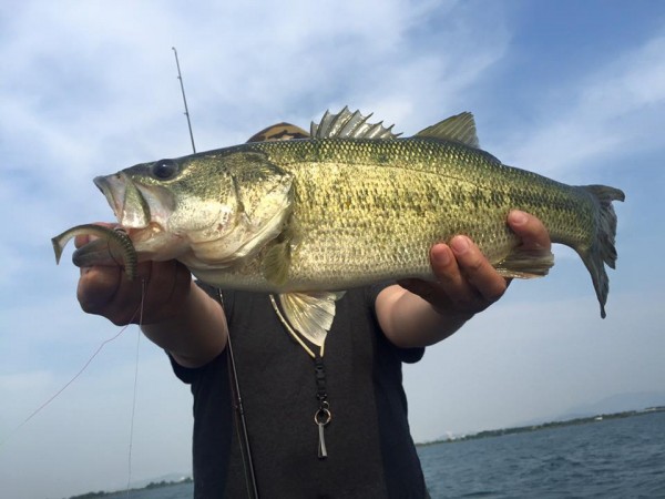 hideup 永野総一朗 ブログ写真 2016/05/25