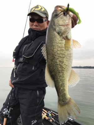 hideup 永野総一朗 ブログ写真 2017/11/08