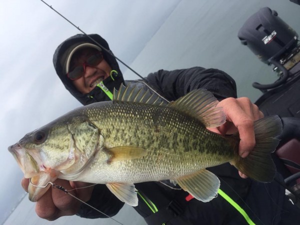 hideup 永野総一朗 ブログ写真 2017/04/26