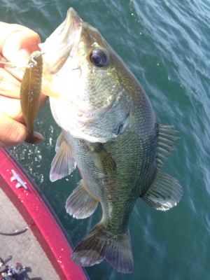 hideup 永野総一朗 ブログ写真 2015/05/09