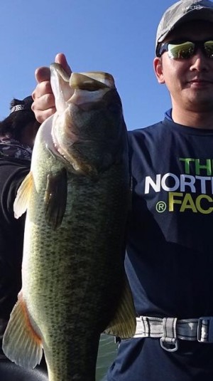 hideup 豌ｸ驥守ｷ丈ｸ譛� 繝悶Ο繧ｰ蜀咏悄 2017/08/09