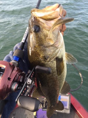 hideup 永野総一朗 ブログ写真 2015/09/14