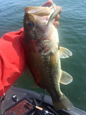 hideup 永野総一朗 ブログ写真 2016/05/21