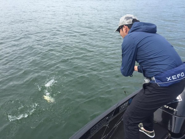 hideup 永野総一朗 ブログ写真 2017/05/17