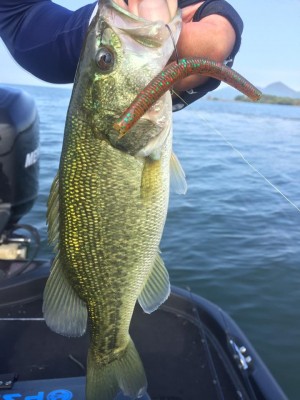 hideup 永野総一朗 ブログ写真 2016/10/03