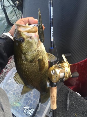 hideup 永野総一朗 ブログ写真 2015/09/19