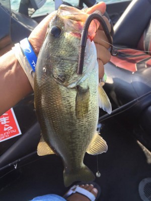 hideup 豌ｸ驥守ｷ丈ｸ譛� 繝悶Ο繧ｰ蜀咏悄 2016/09/07