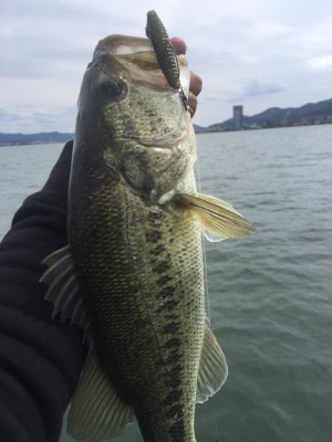 hideup 永野総一朗 ブログ写真 2017/05/17