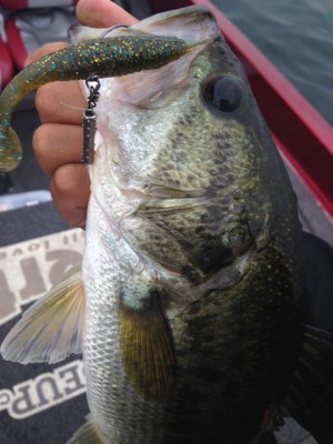 hideup 永野総一朗 ブログ写真 2015/06/13