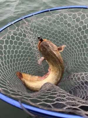 hideup 永野総一朗 ブログ写真 2017/11/20