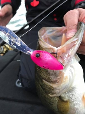 hideup 永野総一朗 ブログ写真 2017/11/05