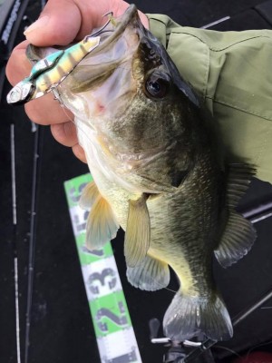 hideup 永野総一朗 ブログ写真 2017/12/10