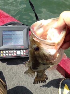 hideup 永野総一朗 ブログ写真 2014/04/02