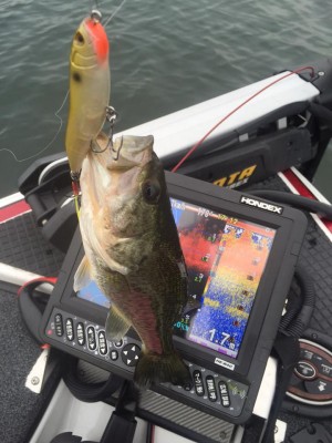 hideup 永野総一朗 ブログ写真 2015/07/03