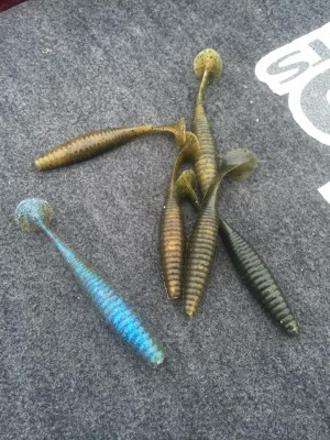 hideup 永野総一朗 ブログ写真 2015/08/19