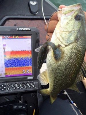 hideup 永野総一朗 ブログ写真 2016/09/03