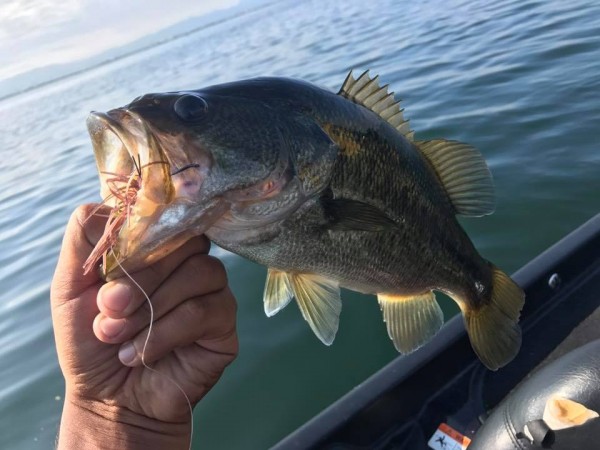 hideup 永野総一朗 ブログ写真 2017/08/02